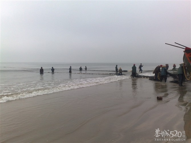 原来有轮子的船才喊做轮船500 / 作者:恋上背叛 / 帖子ID:10434