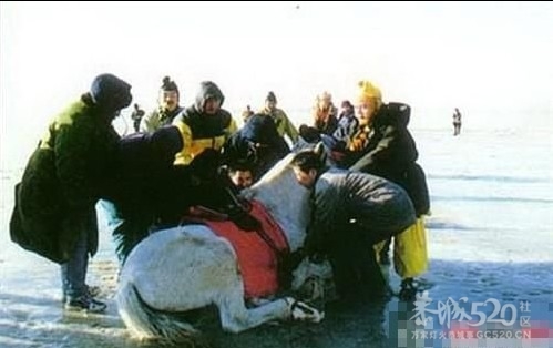 西游记绝版图，你有几个看过？347 / 作者:小昆 / 帖子ID:10442