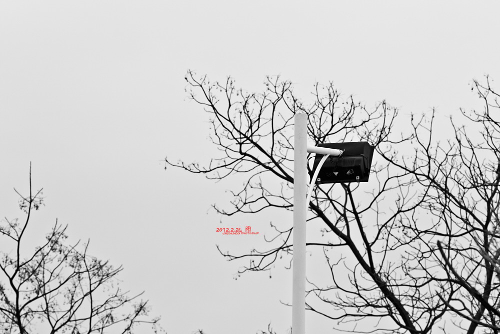 2012.2.24 阴天。838 / 作者:講不醜 / 帖子ID:10488
