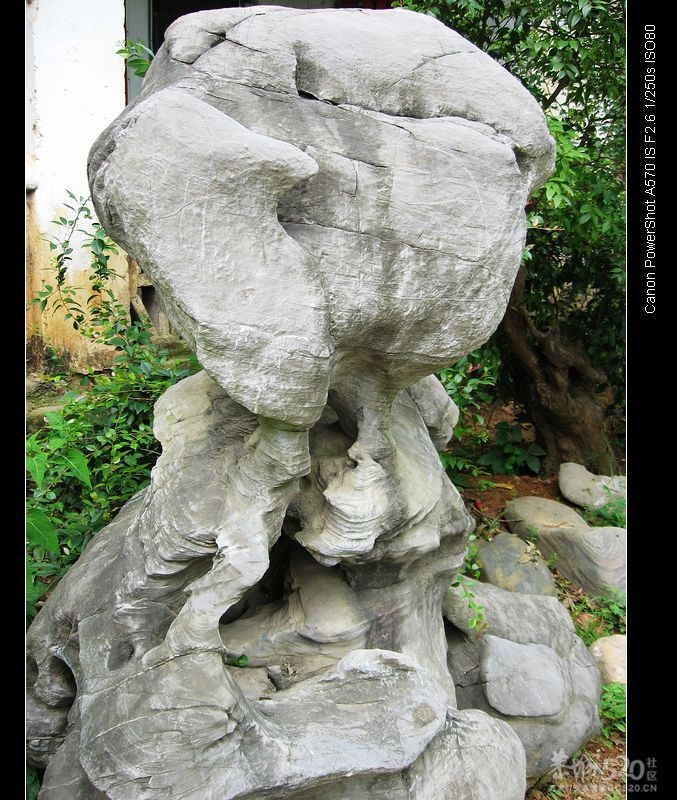 我也来两幅奇石632 / 作者:平安大叔 / 帖子ID:10689