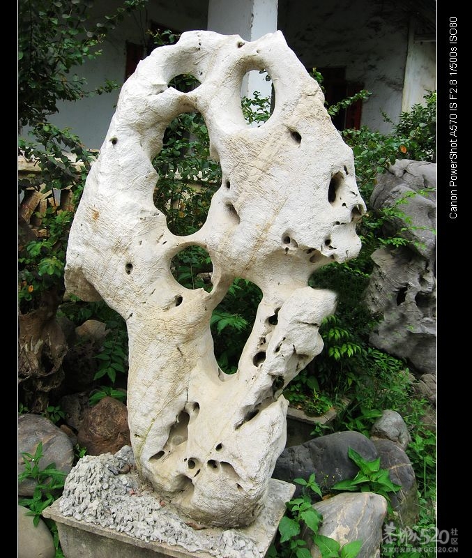 我也来两幅奇石905 / 作者:平安大叔 / 帖子ID:10689