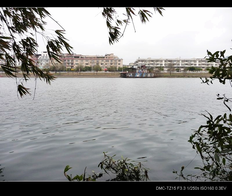 这是冬景还是春景？113 / 作者:平安大叔 / 帖子ID:10740