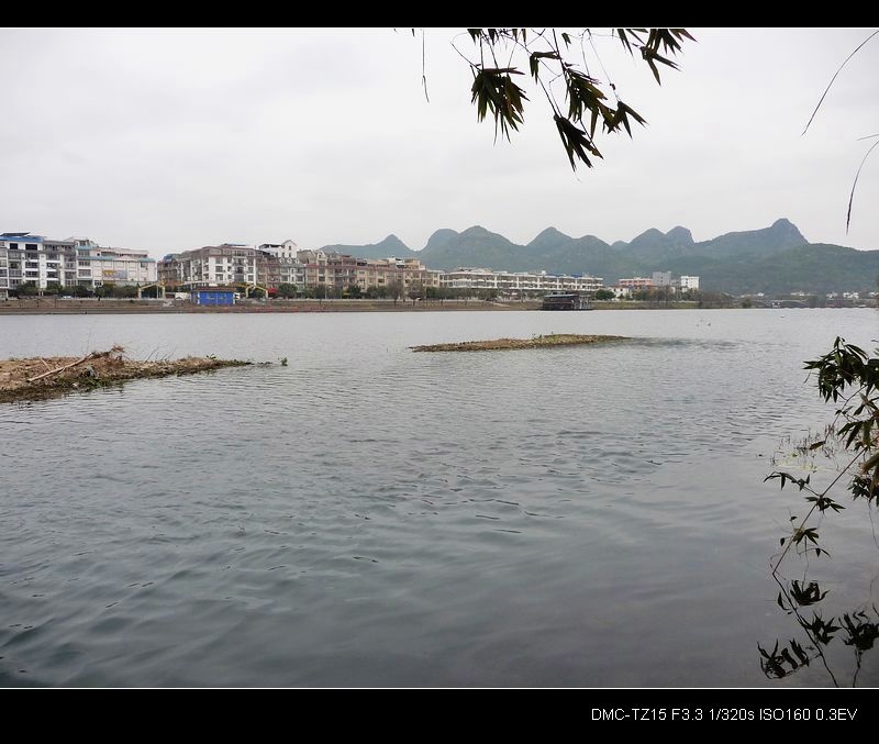 这是冬景还是春景？887 / 作者:平安大叔 / 帖子ID:10740