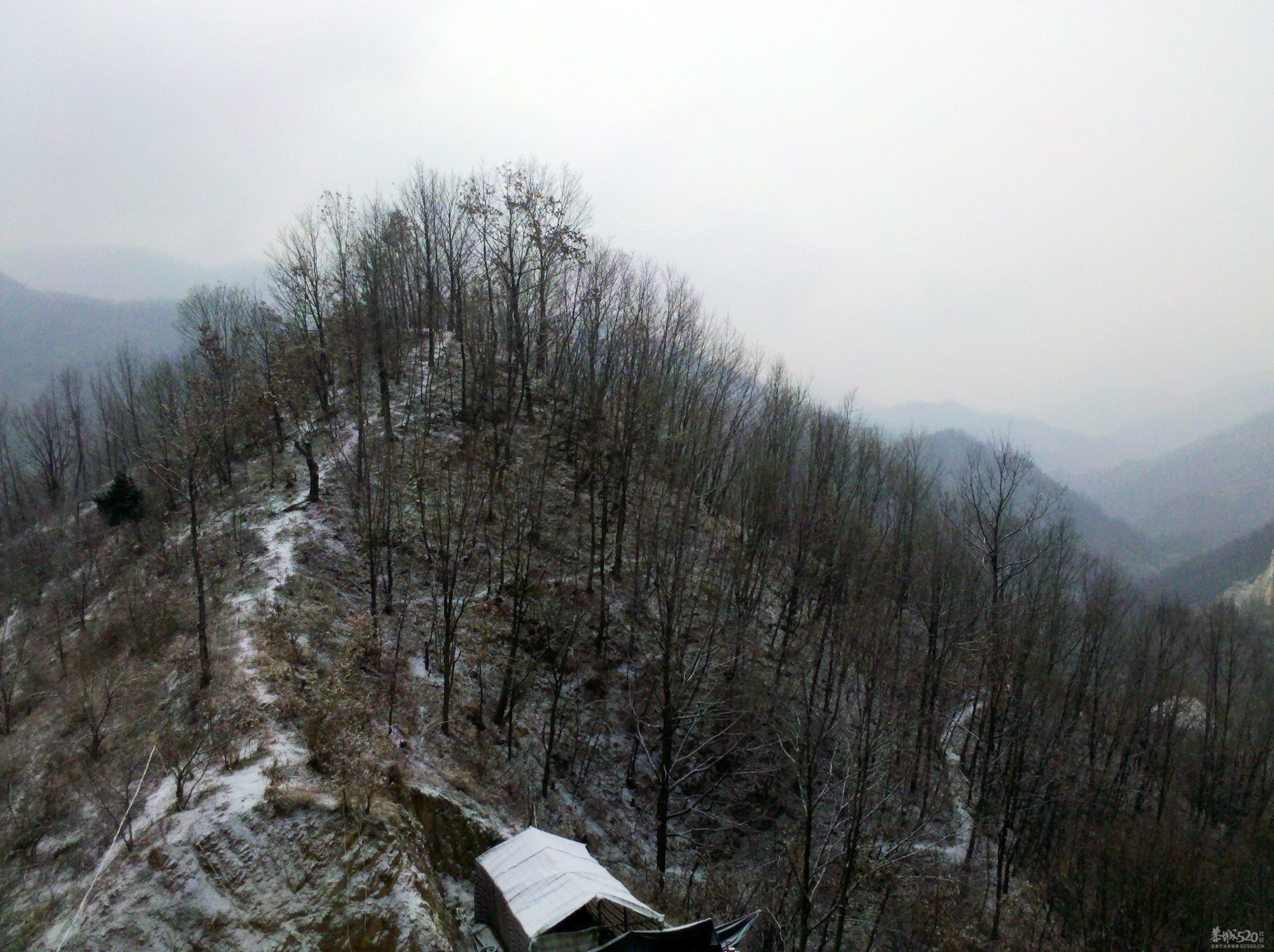 又下雪了19 / 作者:千里之外 / 帖子ID:10745