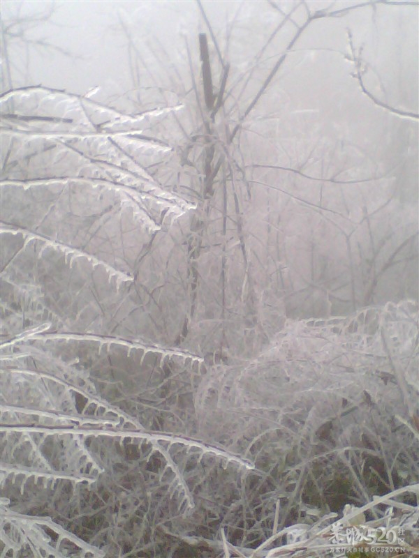 很巧合碰见了冰天雪地、815 / 作者:小骚 / 帖子ID:10809