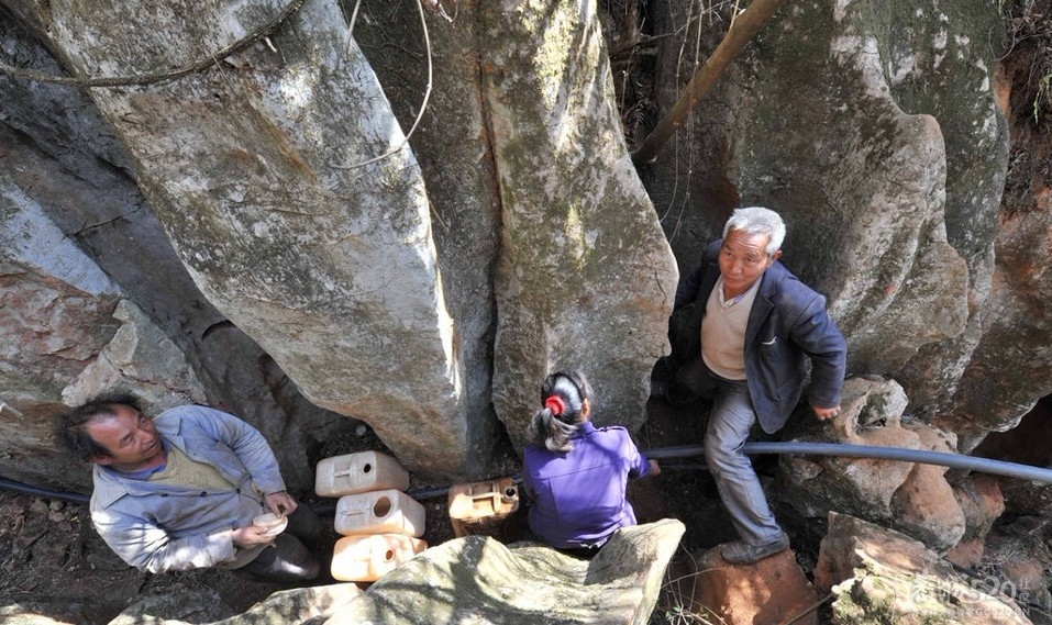 艰难的背水路503 / 作者:小雨点 / 帖子ID:10849