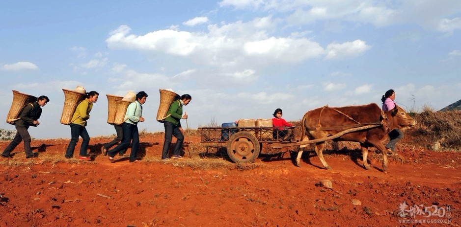 艰难的背水路129 / 作者:小雨点 / 帖子ID:10849