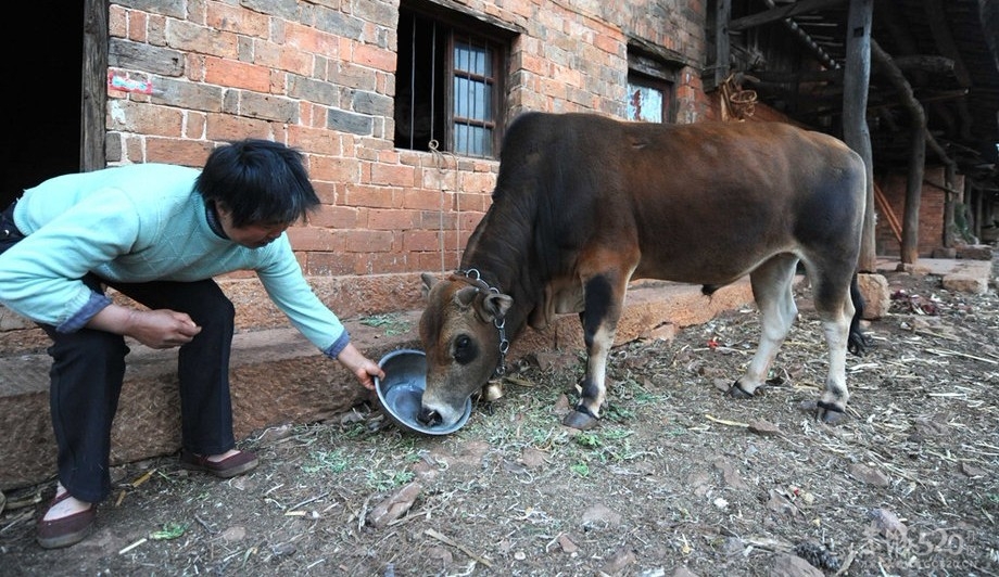 艰难的背水路810 / 作者:小雨点 / 帖子ID:10849