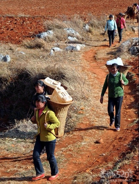 艰难的背水路136 / 作者:小雨点 / 帖子ID:10849