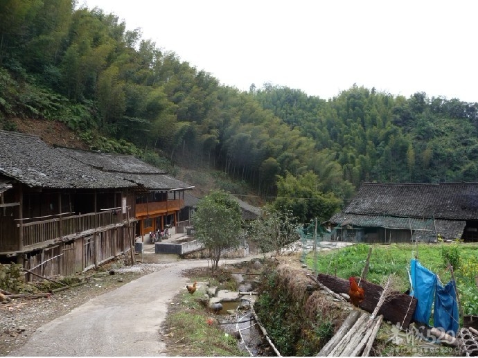 灵川九屋西岭村香龙江大山头503 / 作者:我不懂你 / 帖子ID:10850