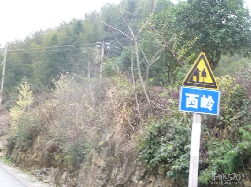 灵川九屋西岭村香龙江大山头182 / 作者:我不懂你 / 帖子ID:10850