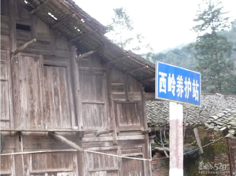 灵川九屋西岭村香龙江大山头276 / 作者:我不懂你 / 帖子ID:10850