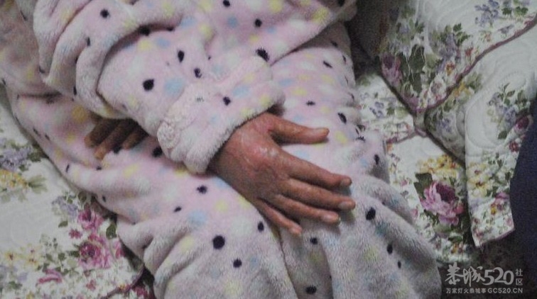 抗震救灾小英雄林浩看望并鼓励周岩【组图】454 / 作者:黄子 / 帖子ID:10886