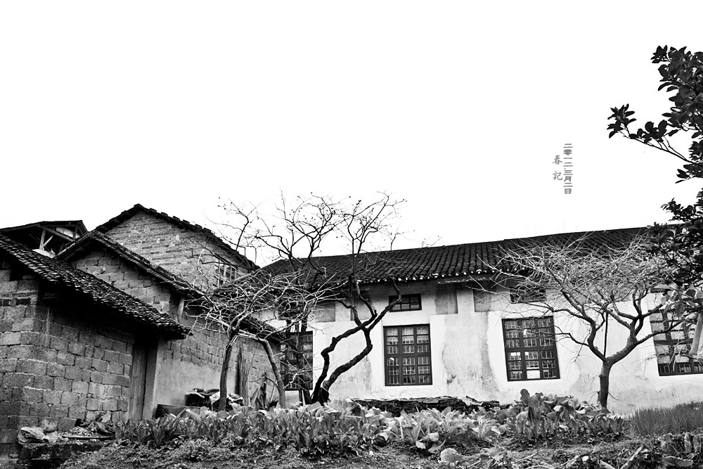 春·记 2012.3.295 / 作者:講不醜 / 帖子ID:10994