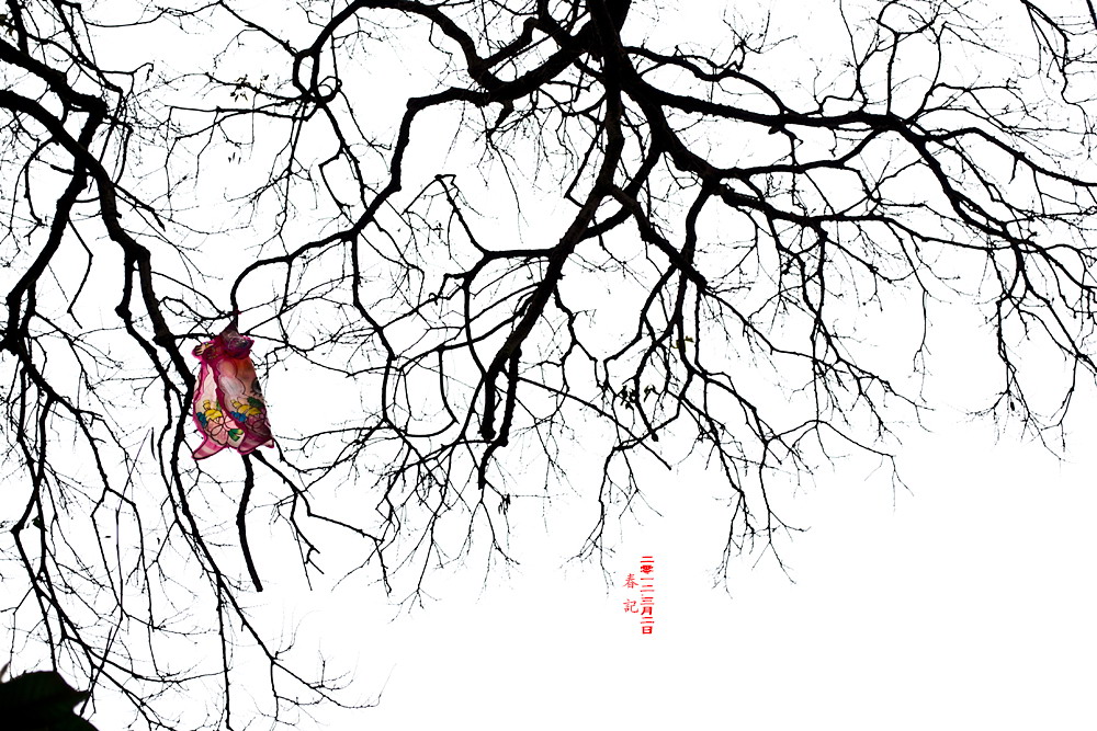 春·记 2012.3.221 / 作者:講不醜 / 帖子ID:10994