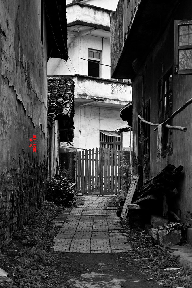 春·记 2012.3.2953 / 作者:講不醜 / 帖子ID:10994
