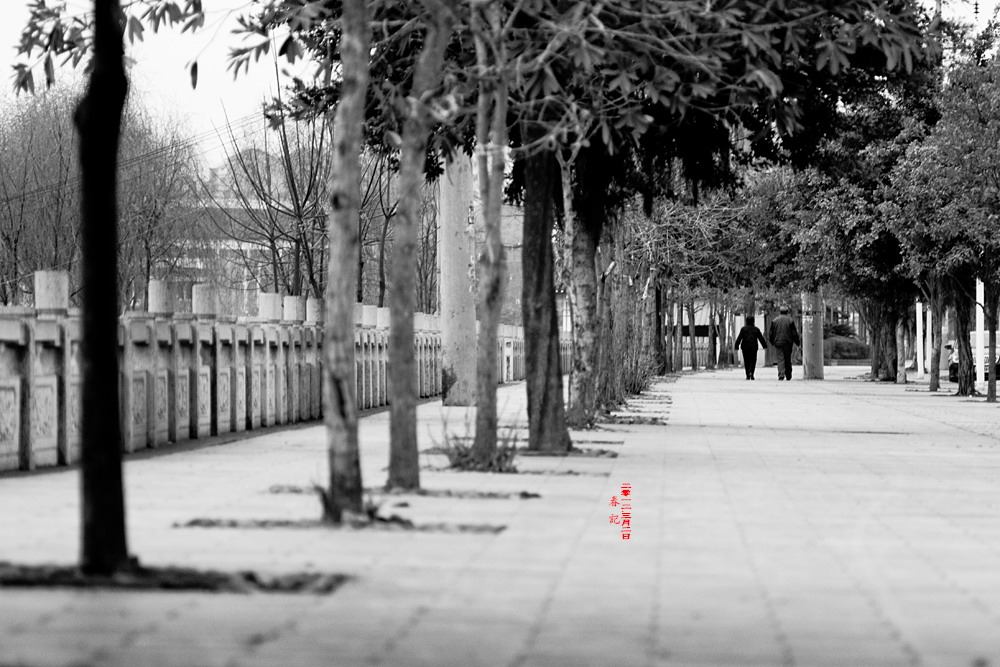 春·记 2012.3.2304 / 作者:講不醜 / 帖子ID:10994