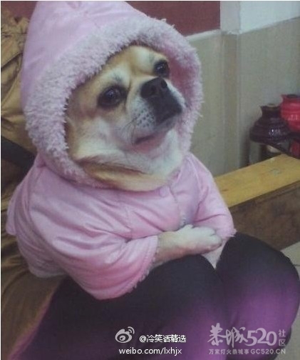 第一眼直接把我笑喷了！谁家媳妇这是？371 / 作者:请叫我宅男先生 / 帖子ID:11074