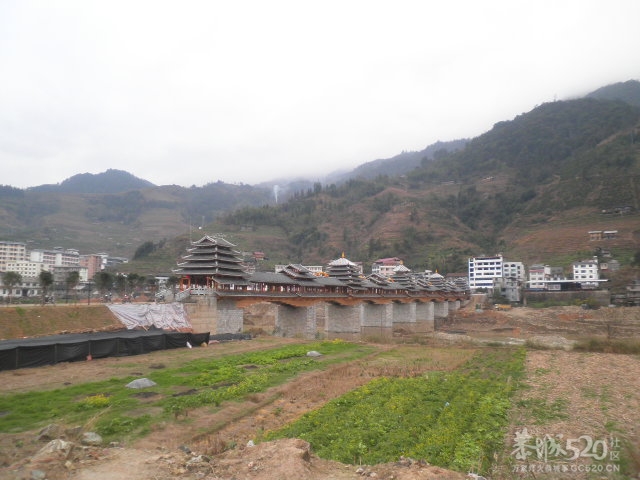 龙胜民族风雨桥316 / 作者:金网 / 帖子ID:11154