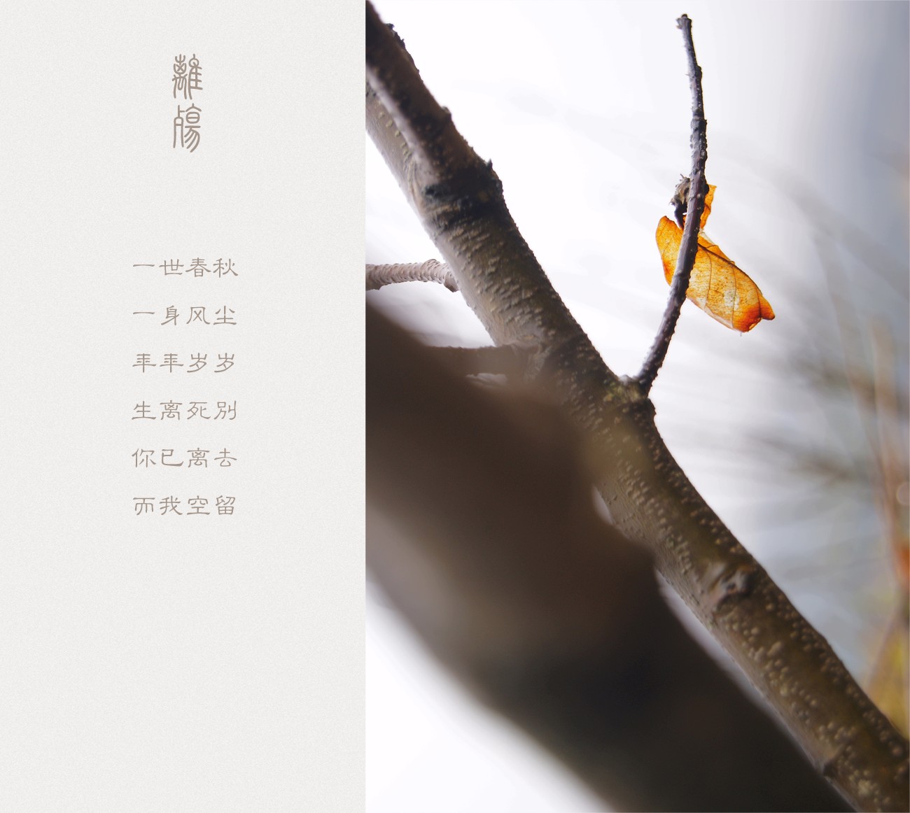 離殇128 / 作者:195 / 帖子ID:11158