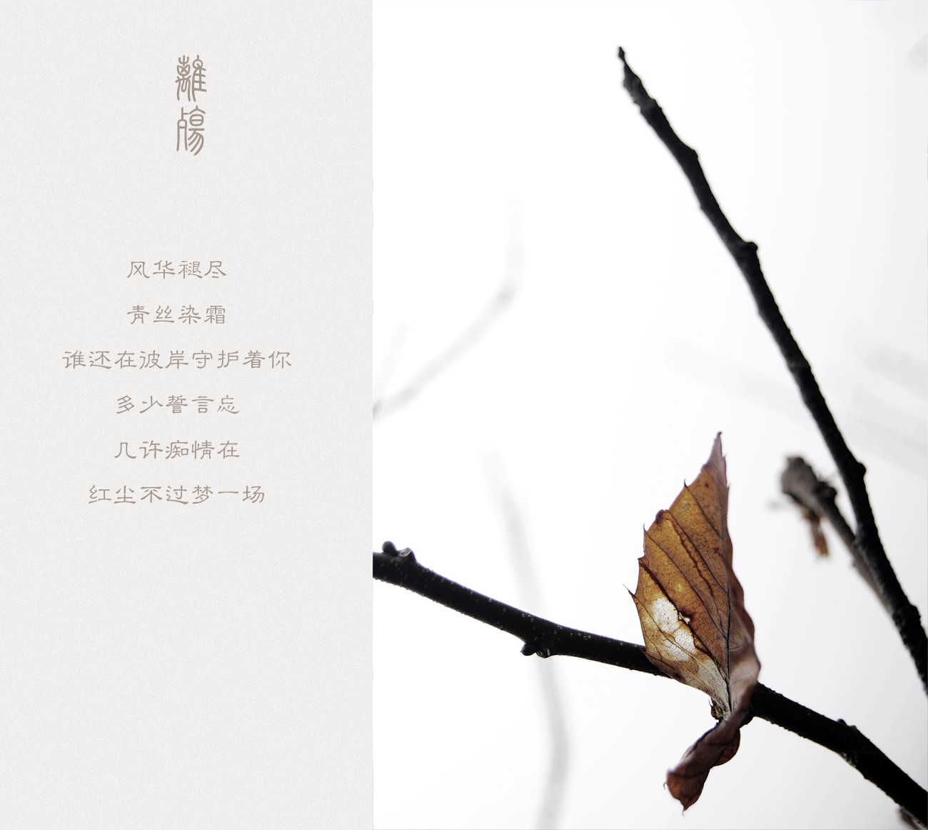 離殇215 / 作者:195 / 帖子ID:11158