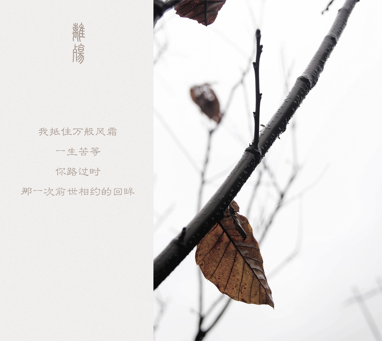 離殇329 / 作者:195 / 帖子ID:11158
