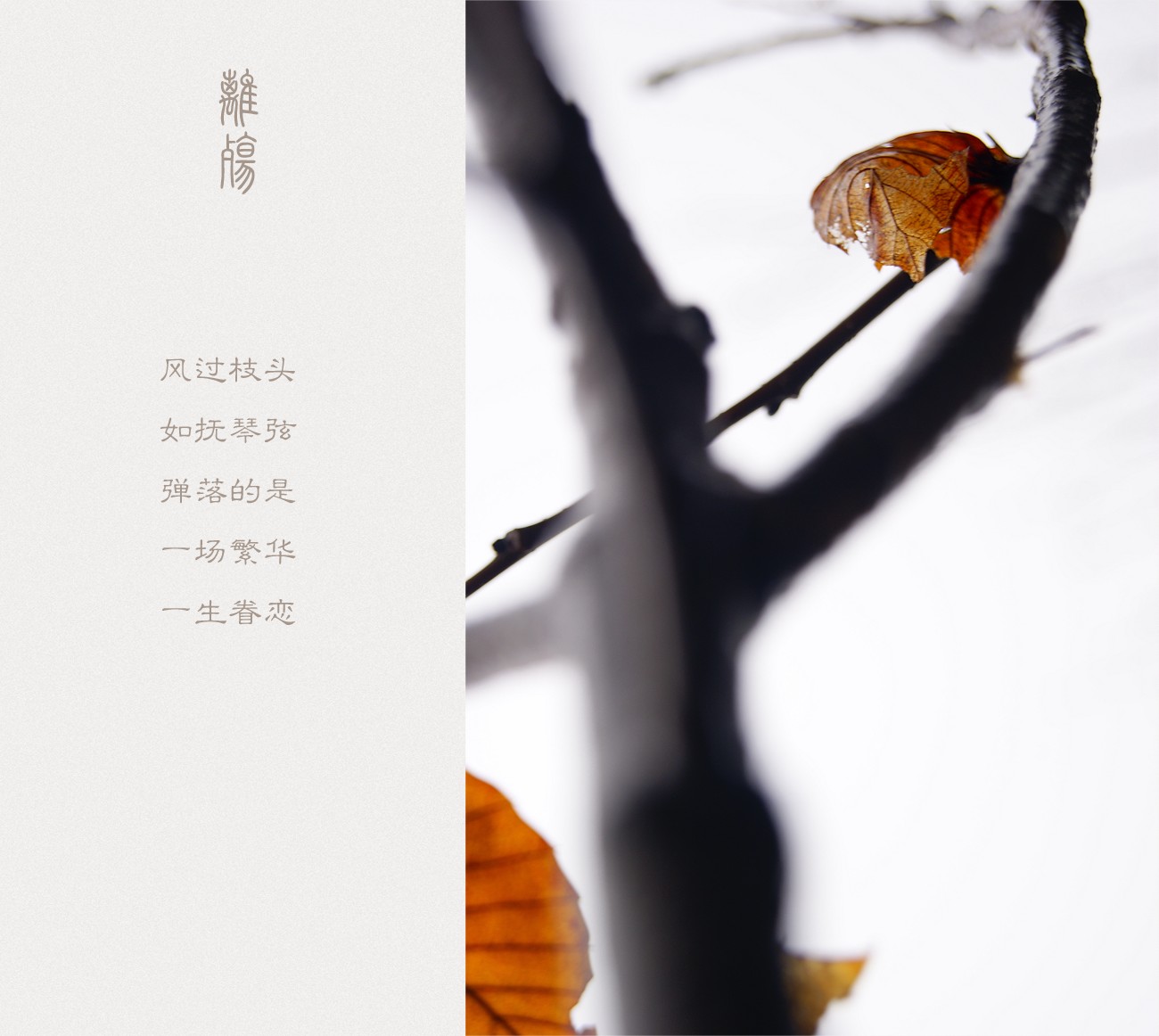 離殇175 / 作者:195 / 帖子ID:11158