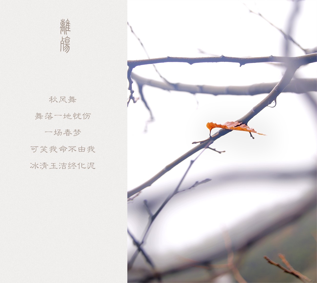 離殇427 / 作者:195 / 帖子ID:11158