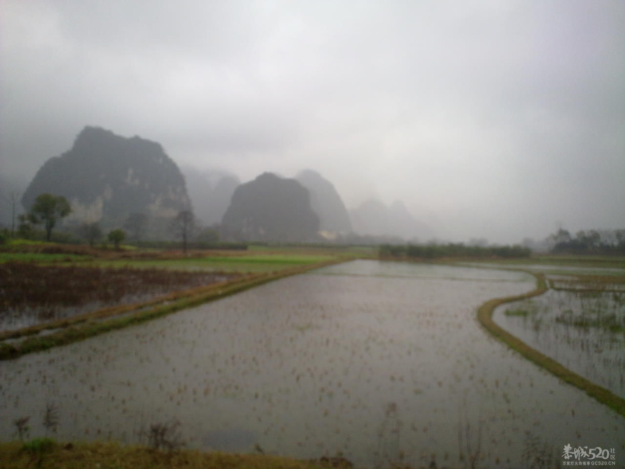 烟雨中的遇龙河752 / 作者:金网 / 帖子ID:11243
