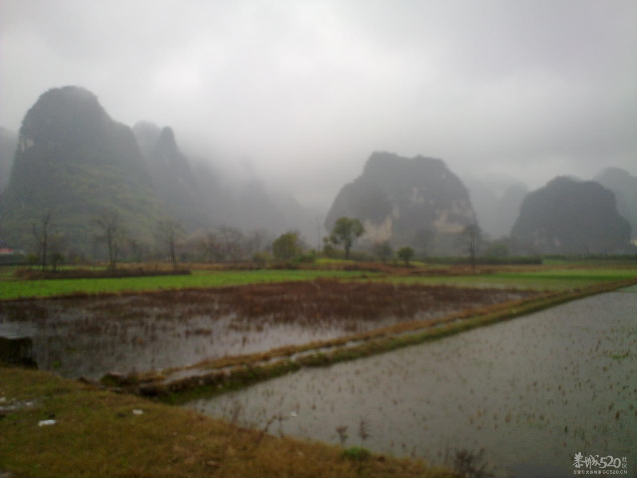 烟雨中的遇龙河119 / 作者:金网 / 帖子ID:11243