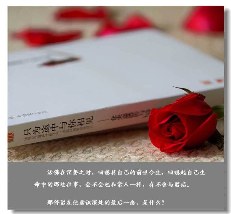 初试小白镜头----倚情小品一组553 / 作者:探路者 / 帖子ID:11562