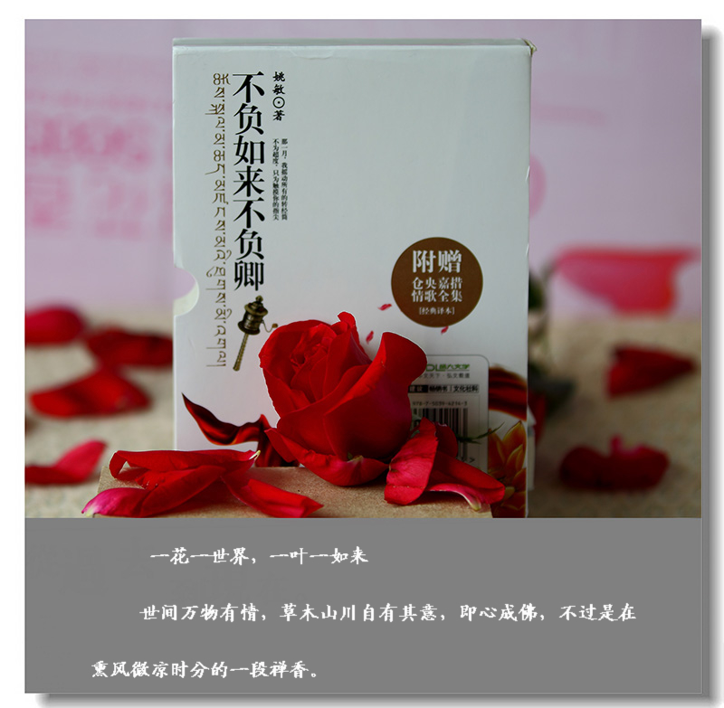 初试小白镜头----倚情小品一组326 / 作者:探路者 / 帖子ID:11562