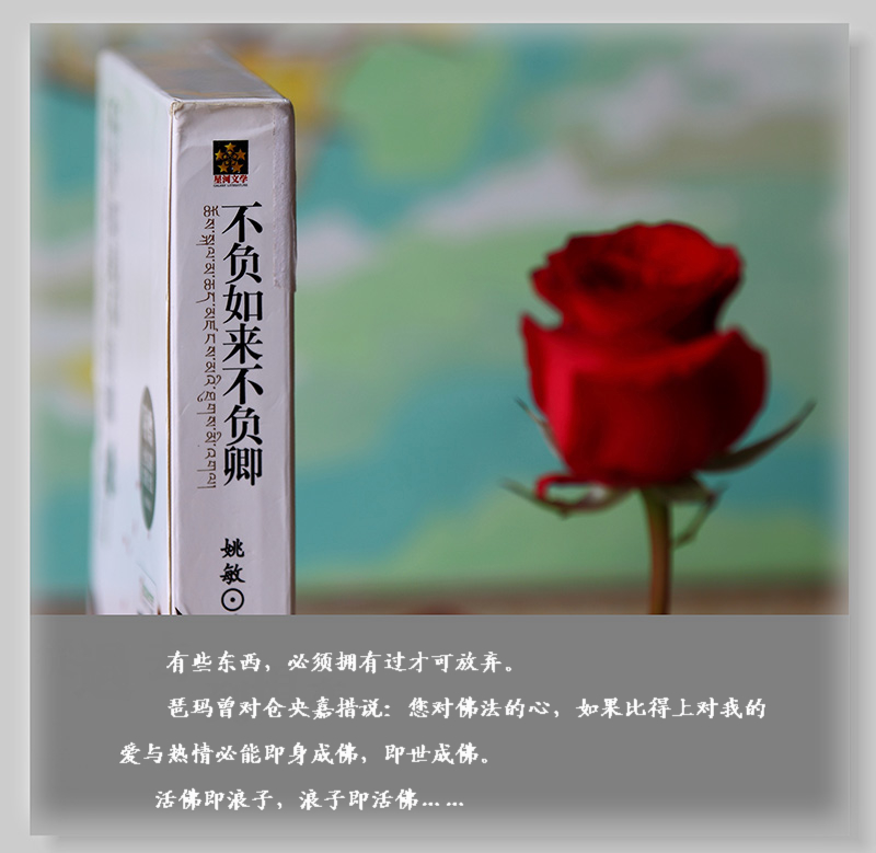 初试小白镜头----倚情小品一组686 / 作者:探路者 / 帖子ID:11562