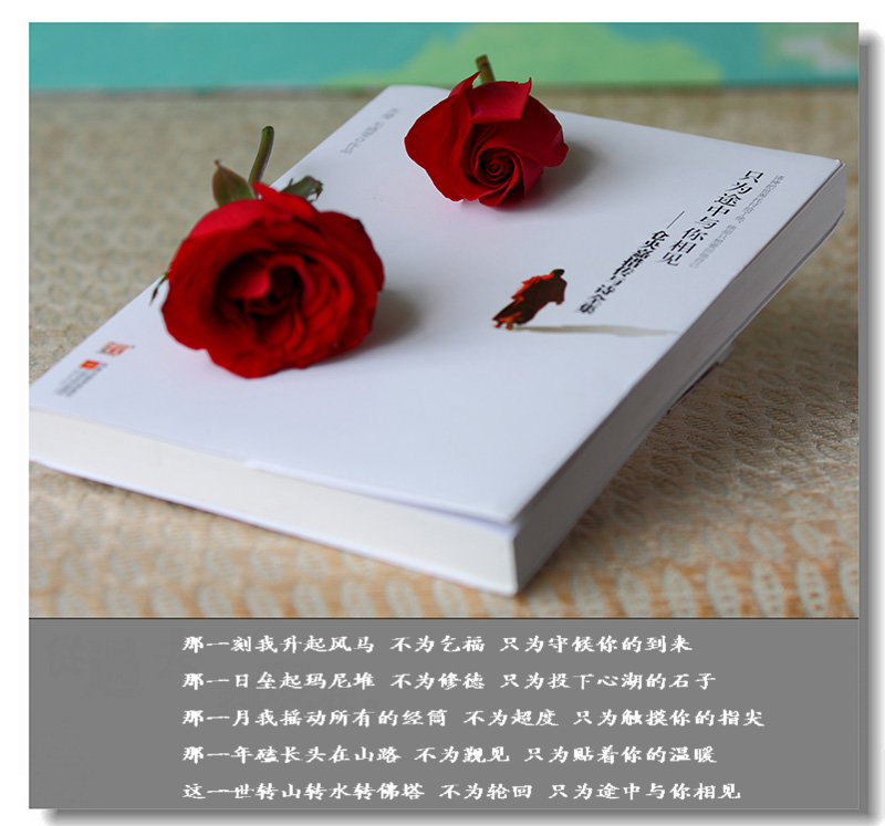 初试小白镜头----倚情小品一组567 / 作者:探路者 / 帖子ID:11562
