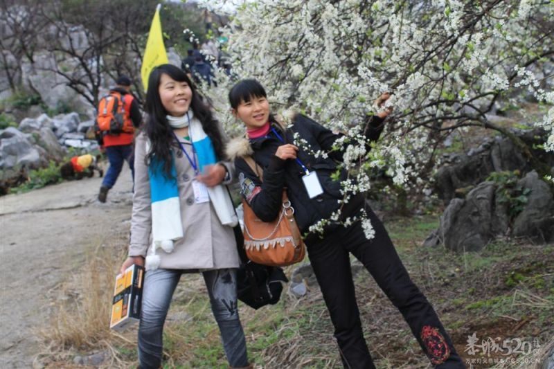 第一次徒步旅行732 / 作者:娟儿 / 帖子ID:11603