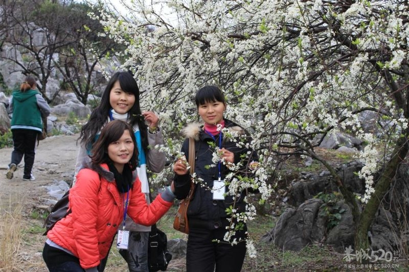 第一次徒步旅行458 / 作者:娟儿 / 帖子ID:11603