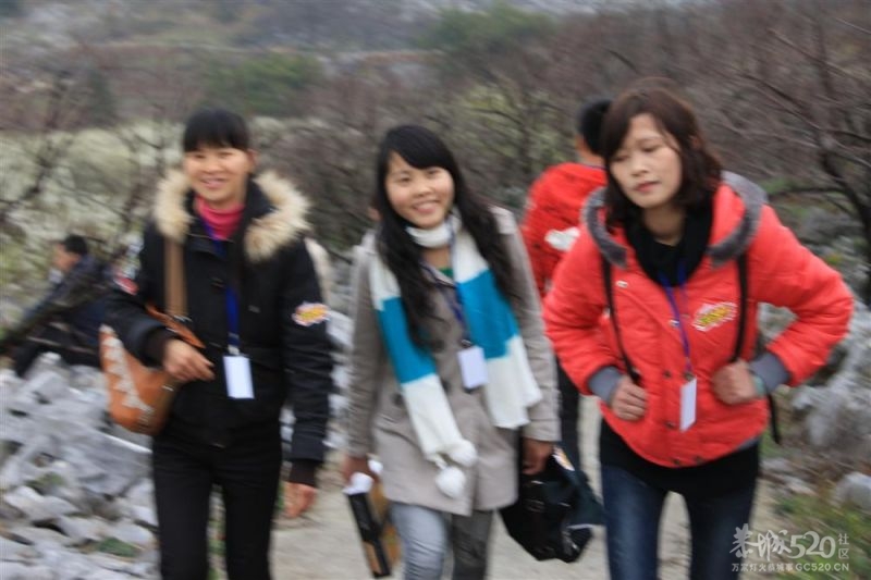 第一次徒步旅行267 / 作者:娟儿 / 帖子ID:11603