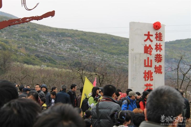 第一次徒步旅行395 / 作者:娟儿 / 帖子ID:11603
