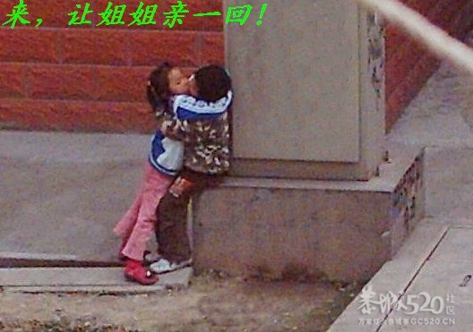全国人大代表迟夙生连续第九年提出卖淫合法化的建议，再次引来争议686 / 作者:平安大叔 / 帖子ID:11633