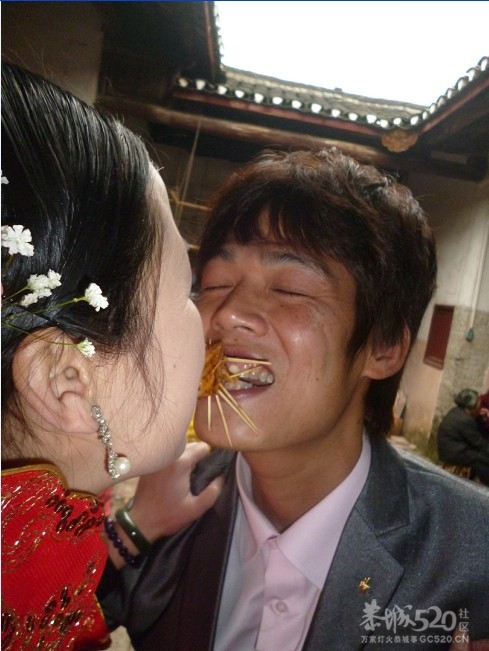 移不动，鸡屁股好吃摆？193 / 作者:极速6688 / 帖子ID:11711