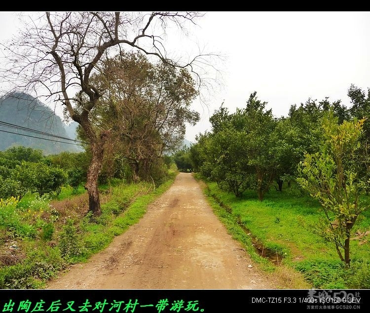 风景迷人的平安陶庄480 / 作者:平安大叔 / 帖子ID:11906