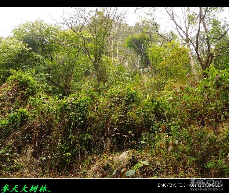风景迷人的平安陶庄799 / 作者:平安大叔 / 帖子ID:11906