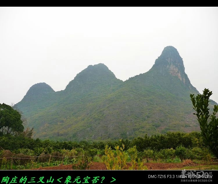 风景迷人的平安陶庄212 / 作者:平安大叔 / 帖子ID:11906