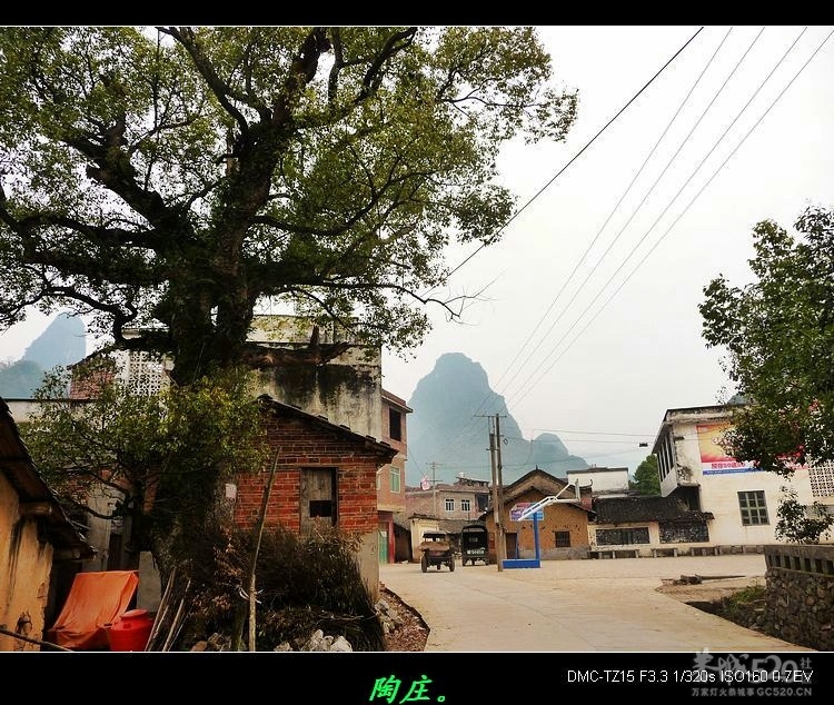 风景迷人的平安陶庄624 / 作者:平安大叔 / 帖子ID:11906