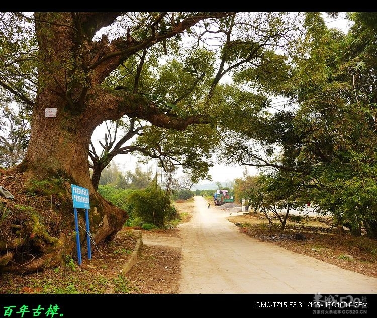 风景迷人的平安陶庄859 / 作者:平安大叔 / 帖子ID:11906