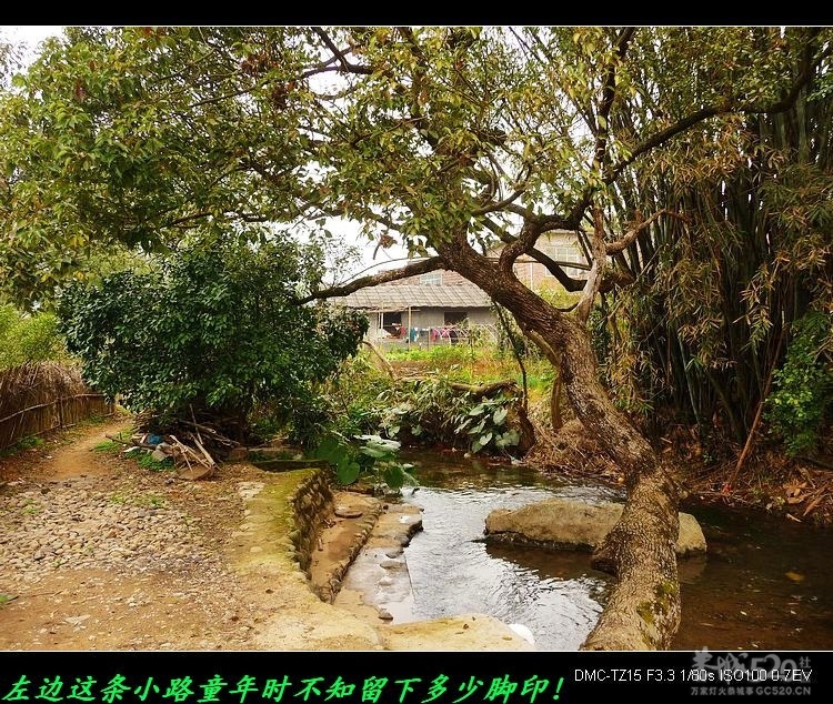 风景迷人的平安陶庄231 / 作者:平安大叔 / 帖子ID:11906