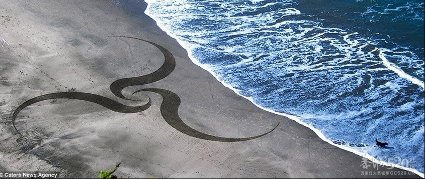 艺术家以沙滩为画布创作巨幅画作956 / 作者:裙角飞扬 / 帖子ID:11922