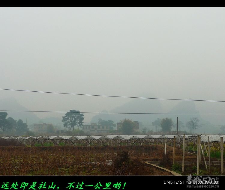 雾中邓扒、别有韵味！620 / 作者:平安大叔 / 帖子ID:11932