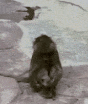 亲，哥赌你一定会笑，却不一定回帖！239 / 作者:简单 / 帖子ID:12012