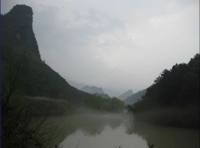 雨中即景458 / 作者:大鸟 / 帖子ID:12160